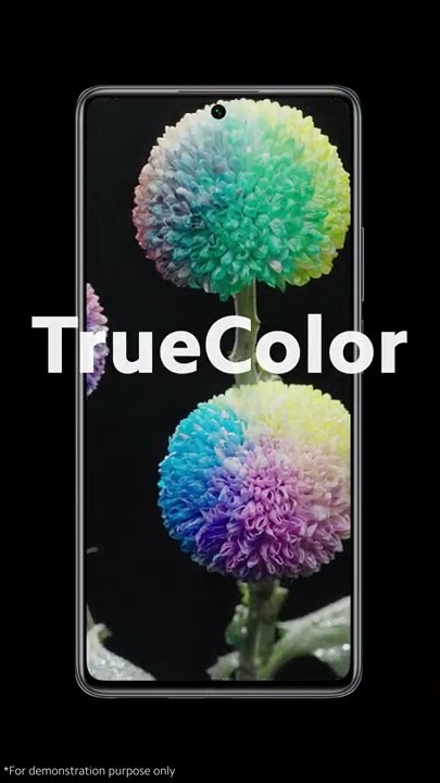 What is a 1 billion color display? | Xiaomi Academy