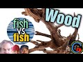 Fish vs fish