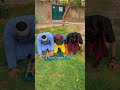 Allah deakh Raha hai#allah #islamic #india #viralshorts #trendingshorts #ytshorts