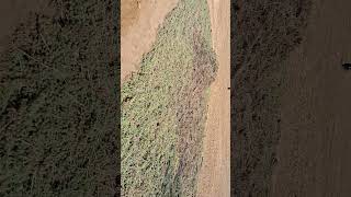 @cute.shivani.05  @MrBeast @starplus @SonySAB @KapilSharmaK9 @4PMNewsNetwork