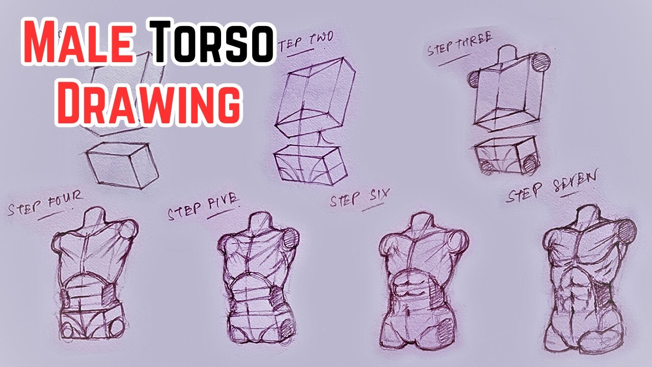 HOW to Draw a MALE TORSO from Basic Shapes in 7 Easy Steps