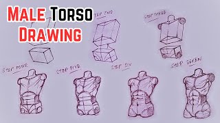 HOW to Draw a MALE TORSO from Basic Shapes in 7 Easy Steps