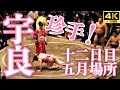 【宇良】奇跡！？約２５年ぶりに出た！？五月場所十二日目。宇良の熱き闘いの記録【大相撲】