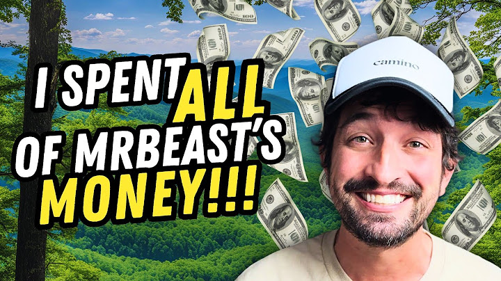I Survived MrBeast's Wilderness Challenge and SPENT All His Money!!