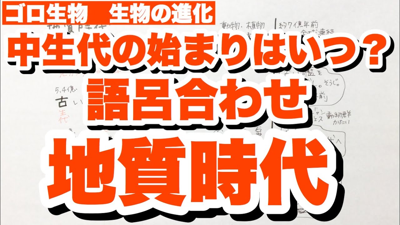 地質時代 地質年代 の名前の覚え方 語呂合わせで古生代 中生代 新生代の始まりはいつ 生物の進化 ゴロ生物 Youtube