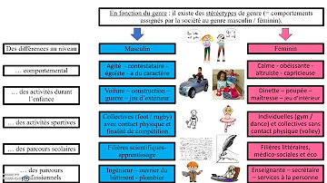 Qu'est-ce que la socialisation Differenciée ?