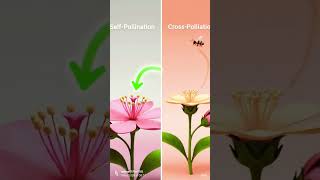 पौधों में जनन (plant reproduction)#PaudhonMeinJanan#PlantReproduction#BiologyClass10#ScienceVideo