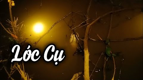 Cắm Câu Cá Lóc Cá Trê | Chuyến Thăm Câu Toàn Trê Vàng!