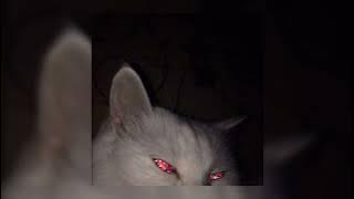 Download lagu pump it - sped up