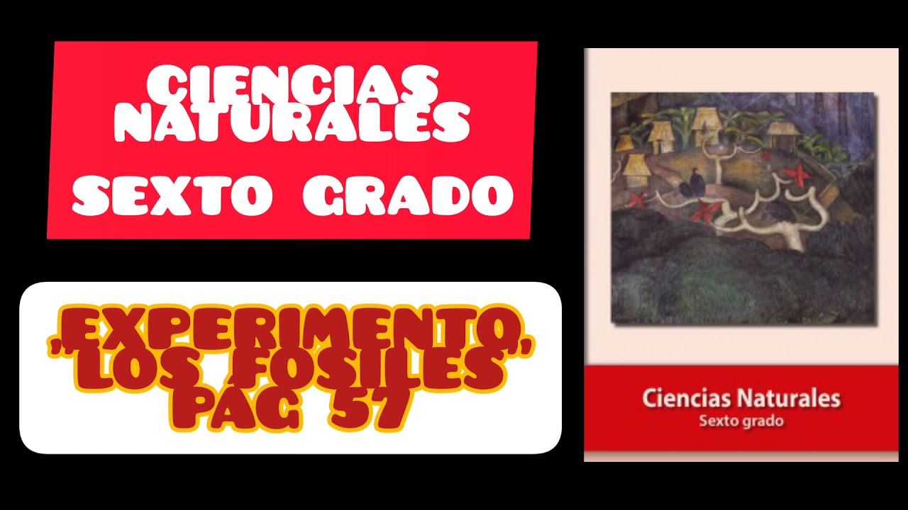 EXPERIMENTO LIBRO DE CIENCIAS NATURALES SEXTO GRADO PÁG 57 "LOS FOSILES