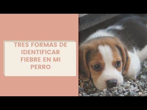 ¿ Como saber