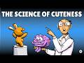 Understanding Cuteness and Its Effects