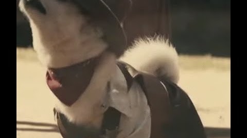 제이쿼리 모바일 jQuery Mobile 8 강   네비게이션 ,패널 만들기