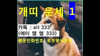 개띠운세 1부 건강운 재물운 성격운 직업운 애정운 로또 1등예상번호