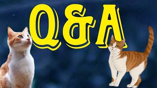 Q&A | 600 Abo Special