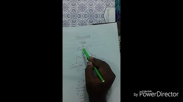 জোড় /বিজোড়  সংখ্যা নির্ণয়ের Algorithm, Flowchart &C -program....