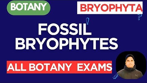 L8 | Fossil Bryophytes #mcqs | Botany | #BotanyExamPrep 