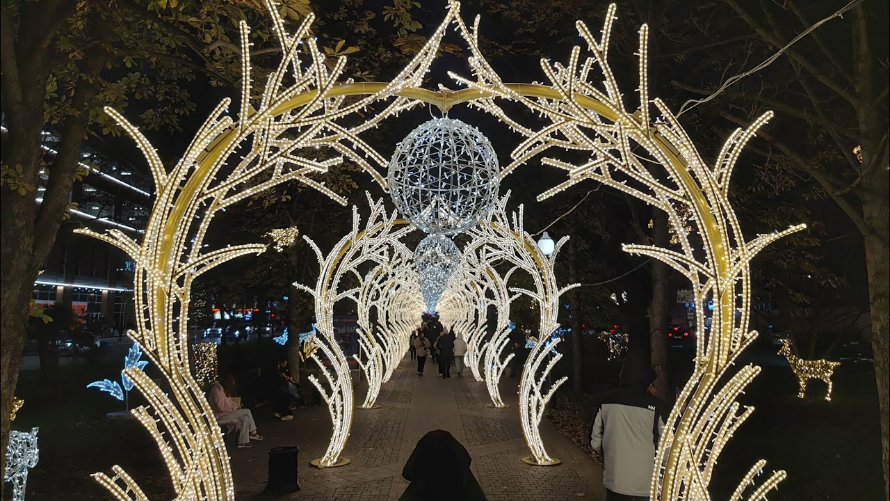 Прогулка по зимнему Краснодару - улица Красная со световыми инсталляциями