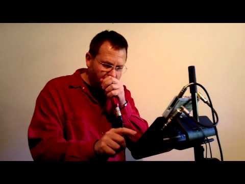 IRISH HARMONICA: "The Corner House" with Live Looping by Brendan Power