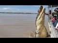 شاهد ماذا فعل هذا التمساح الضخم - مقاطع فيديو غريبة !!!