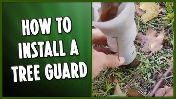 How to Install a Tree Guard (2023)