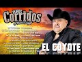 El Coyote Sus Grandes Exitos - Top 20 Mejores Canciones