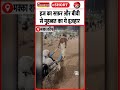 दौरान-ए-हज का बेहद शानदार नज़ारा | 27 May 2026 #hajj #HajjMubarak #Arafat #ArafatDay #viral #shorts