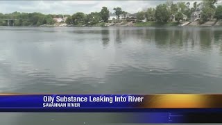 Substance In Savannah River Causes Concerns screenshot 5