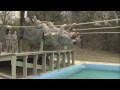 Air Force Basic Military Training BMT Obstacle Course