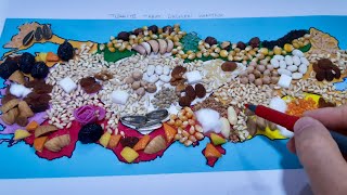 Türkiye Tarım Ürünleri Haritası Resimi