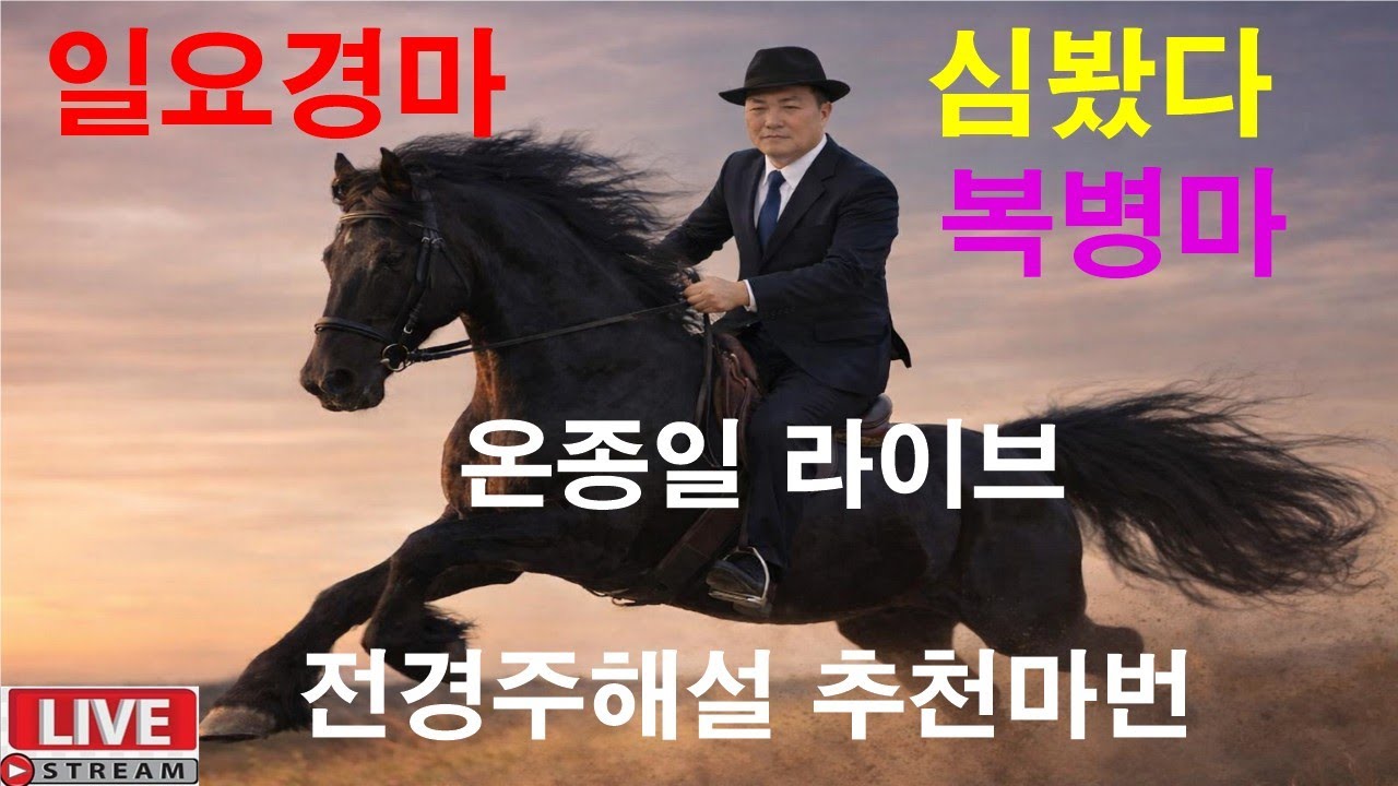 5월10일 일요경마  경마예상 추천마번 복병마  온종일 라이브 방송 경마장 심마니 박달재 서울경마 부경경마 제주경마 경주분석 추천마번 예상방송 박달재
