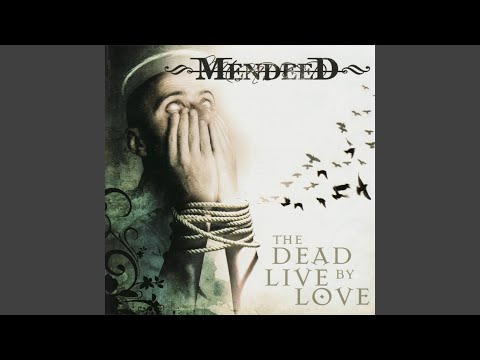 Reload `n` Kill Video