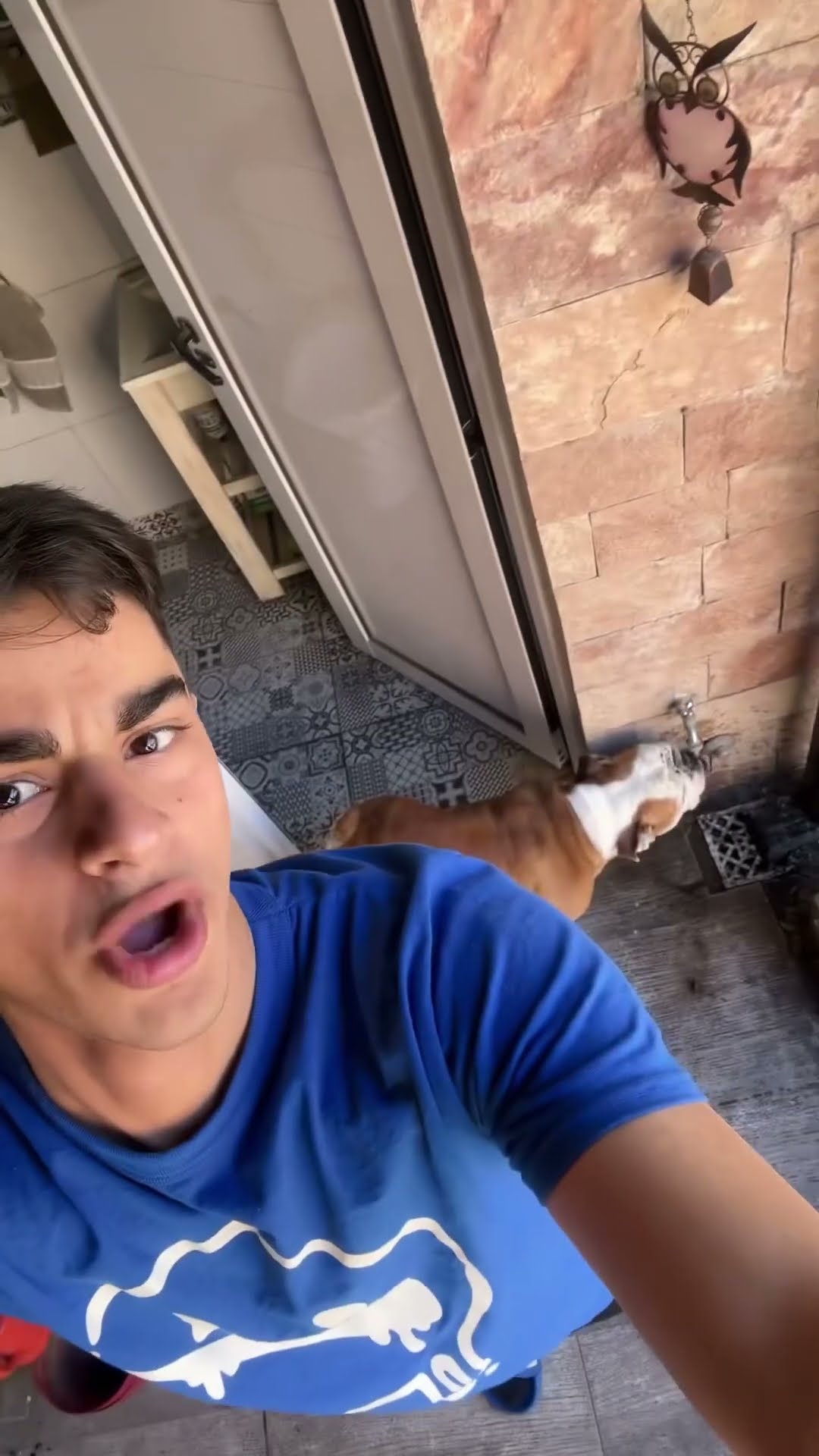 MI PERRO NO TOMA AGUA DEL POTE?