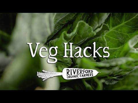 Video: Ako pridať jarnú zeleninu do stravy: 15 krokov (s obrázkami)