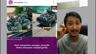 KREATIFNYA ORANG INDONESIA ! MUDIK DENGAN NYAMAR JADI GORILA !