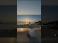 Relax in 1 Minute 🌿 #relaxingmusic #lofi #寝落ち音楽 #relax #studymusic #deepfocus #music #focusmusic