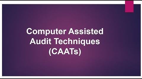 Computer Assisted Audit Techniques