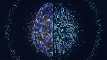 High-performance cameras and Artificial Intelligence