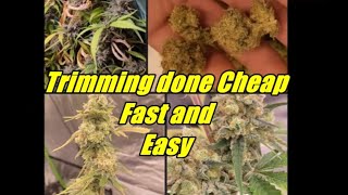 Cheapest, Fastest, and Easiest way to Trim Buds | Oven Bag Trim| from the Mars Hydro FC6500 grow