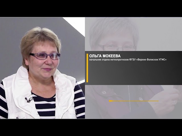 погода в Тиме Курской области на сутки