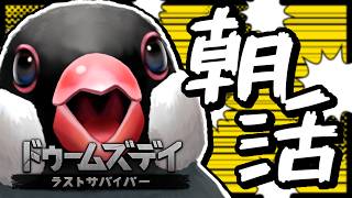 【朝活/初見歓迎】オレの話術で人間50人集めてやんよ！【ドゥームズデイ：ラストサバイバー】【新人VTuber】#PR