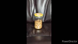 granola by Killer Bees 773 views 2 years ago 10 seconds