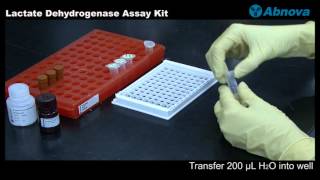 Lactate Dehydrogenase Assay Kit