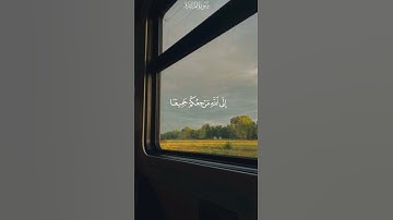 سورة المائدة - القارئ :سعود الشريم #قرآن