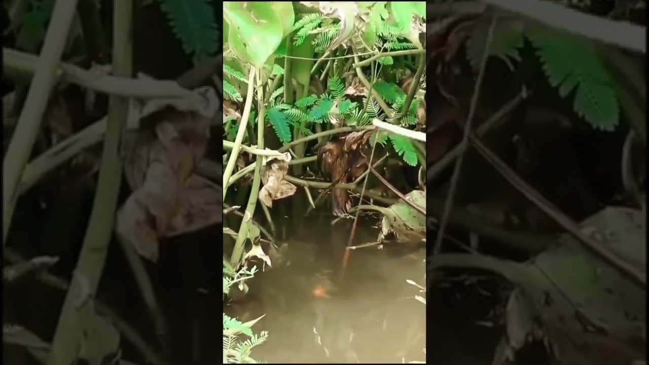 Float rod fishing Wanna see her content 