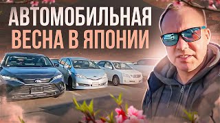 Автомобили из Весенней Японии во Владивостоке. Забираеми  показываем цены на привезенные авто