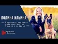 Танцы с собаками. Секрет успеха от Полины Ильиной (интервью. эксклюзив)