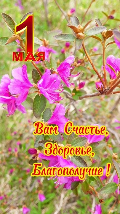 Желаю от Души Всей Планете Земля - МИРА, СЧАСТЬЯ, ЛЮБВИ!!! - YouTube