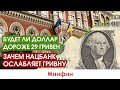 Будет ли доллар по 29 гривен и зачем Нацбанк ослабляет гривну