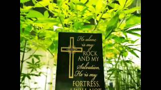 Easter Cannabis Slide Show